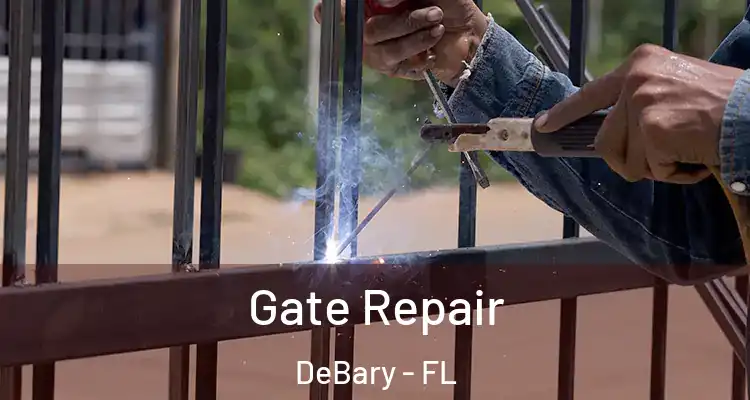  Gate Repair DeBary - FL